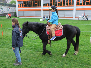 Ostermarkt Bremgarten 2014