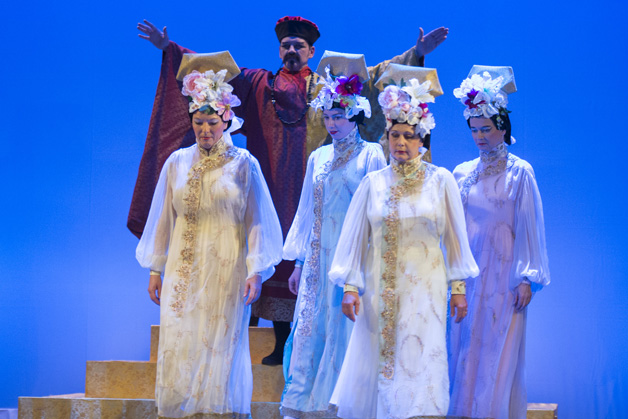 Operette Bremgarten