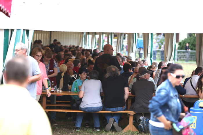 Springkonkurrenz Wohlen 2014