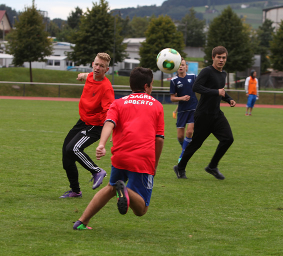 Manor Cup 2013