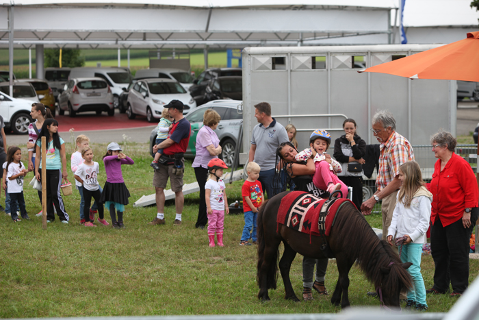 Springkonkurrenz Wohlen 2014