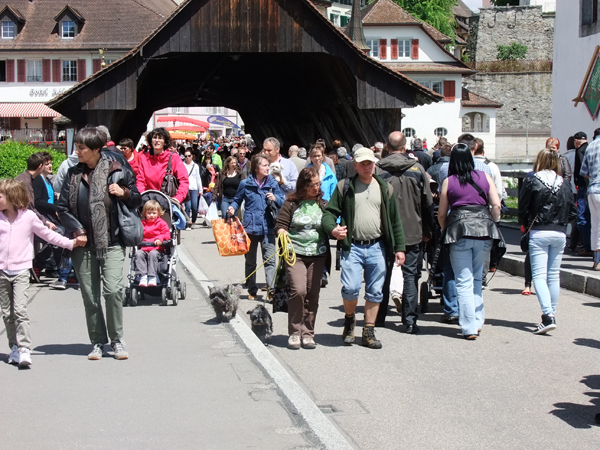 Pfingstmarkt 2013