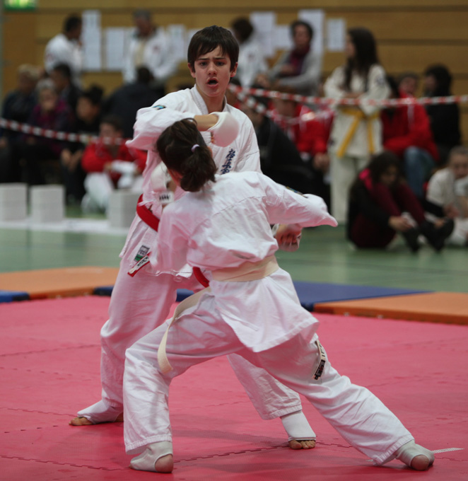 Kyokushinkai Schweizer Meisterschaft Wohlen 2013
