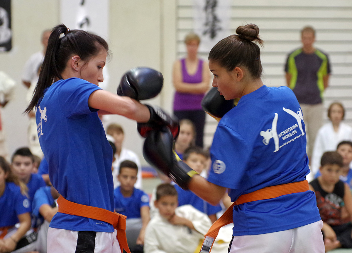 Budo-Tag 2015