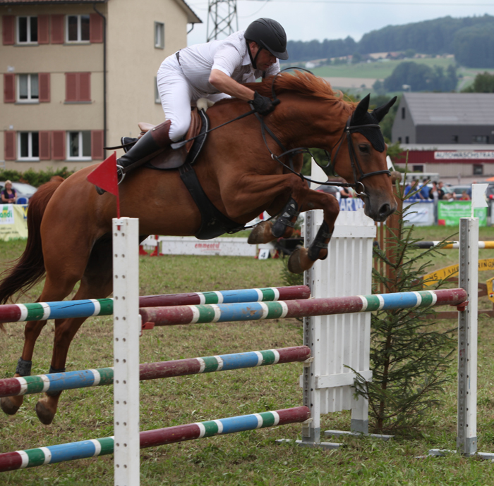 Springkonkurrenz Wohlen 2014