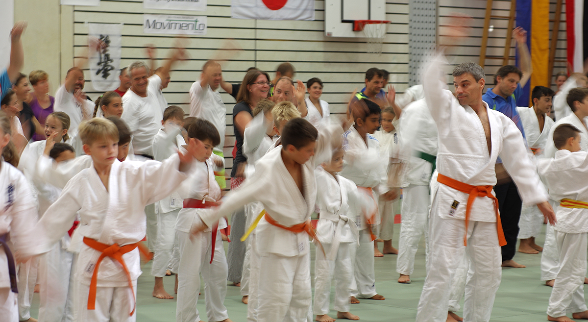 Budo-Tag 2015