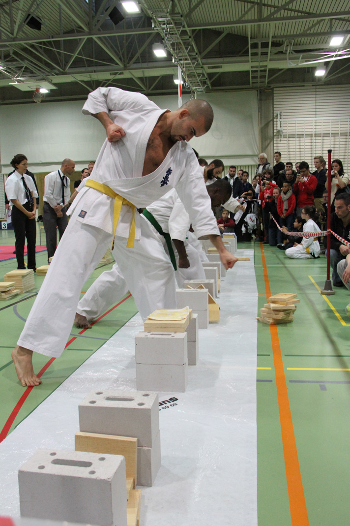 Kyokushinkai Schweizer Meisterschaft Wohlen 2013