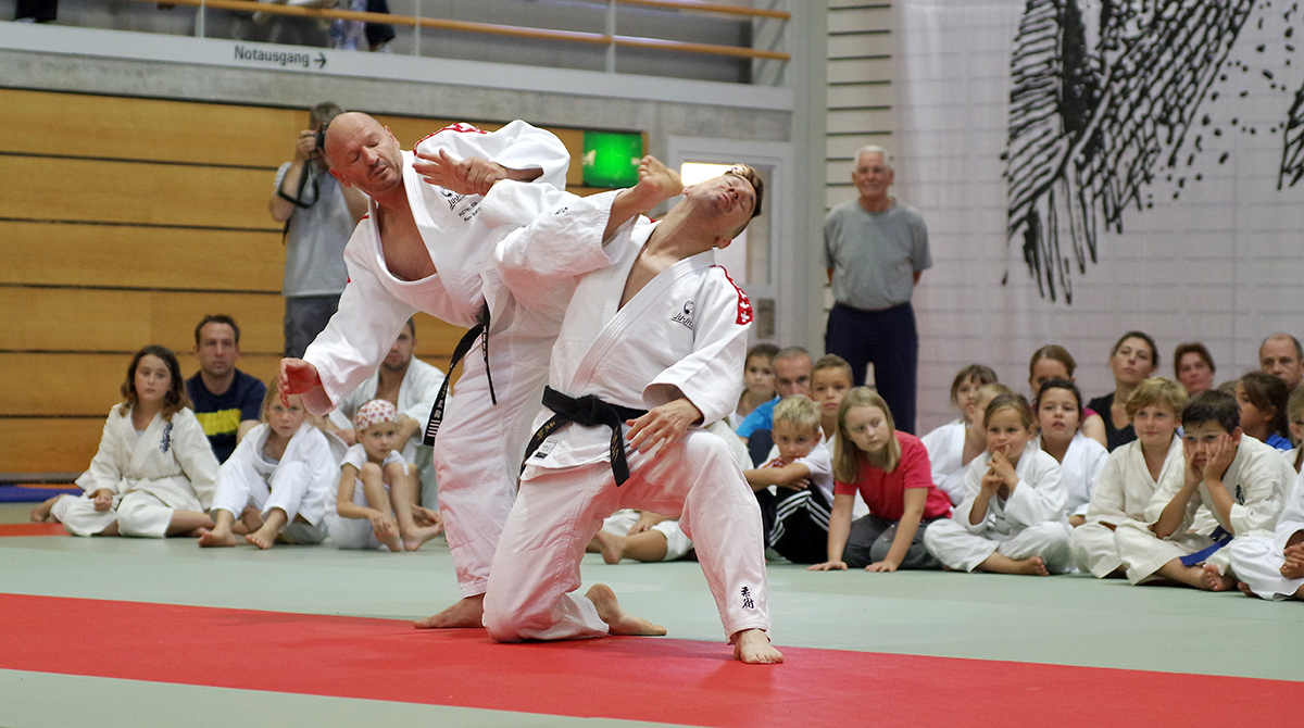 Budo-Tag 2015