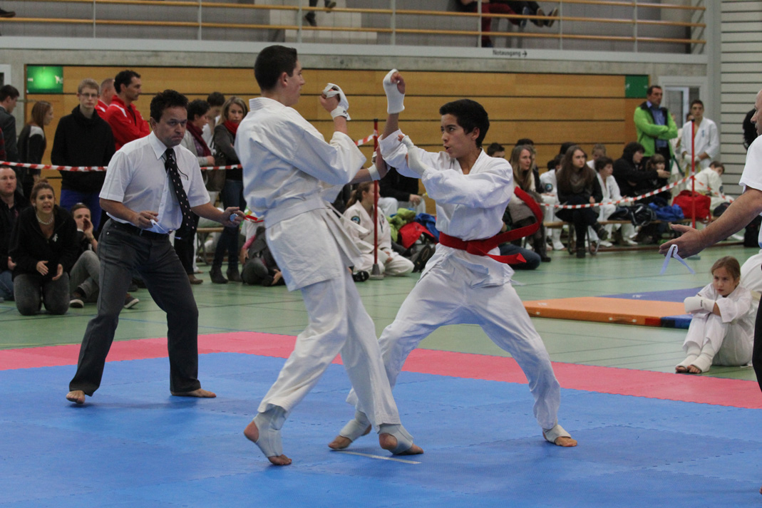 Kyokushinkai Schweizer Meisterschaft Wohlen 2013