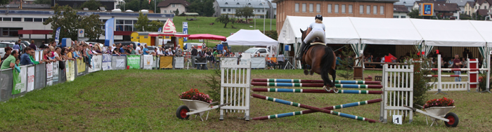 Springkonkurrenz Wohlen 2014