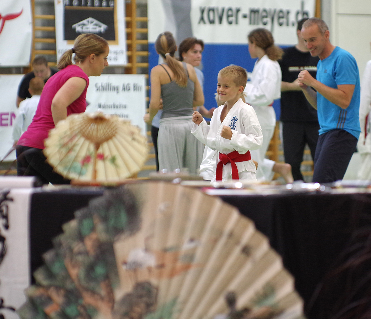 Budo-Tag 2015