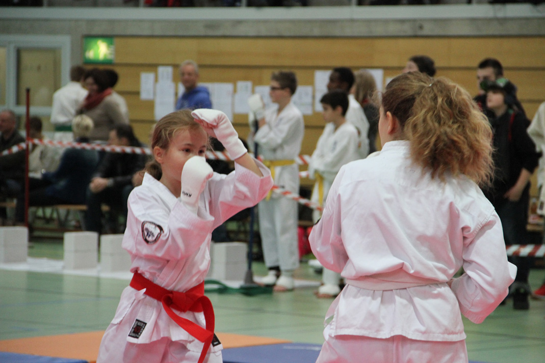 Kyokushinkai Schweizer Meisterschaft Wohlen 2013