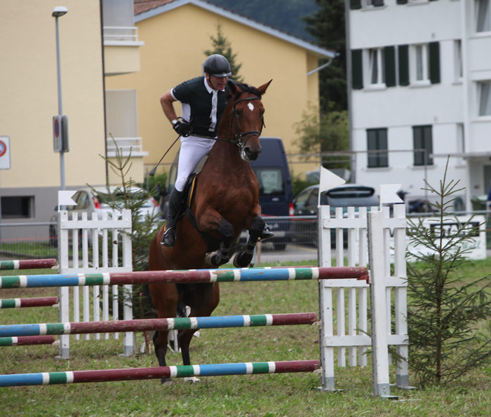Springkonkurrenz Wohlen 2014