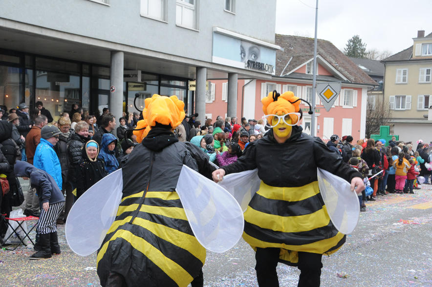 Fasnachtsumzug Wohlen