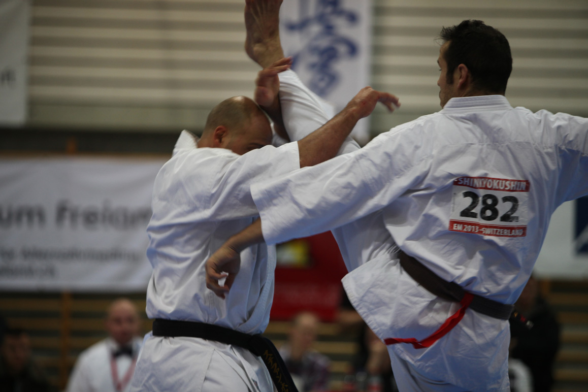 Kyokushinkai Schweizer Meisterschaft Wohlen 2013