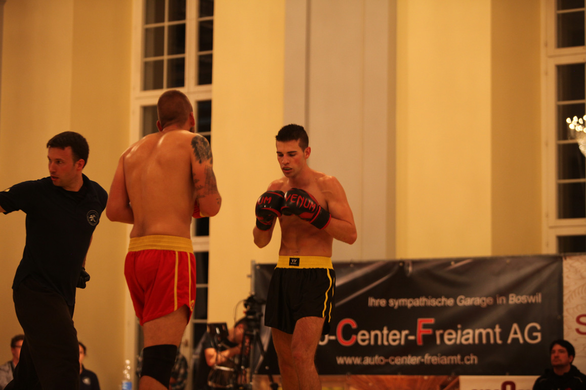 Sanda Fight Night 2016