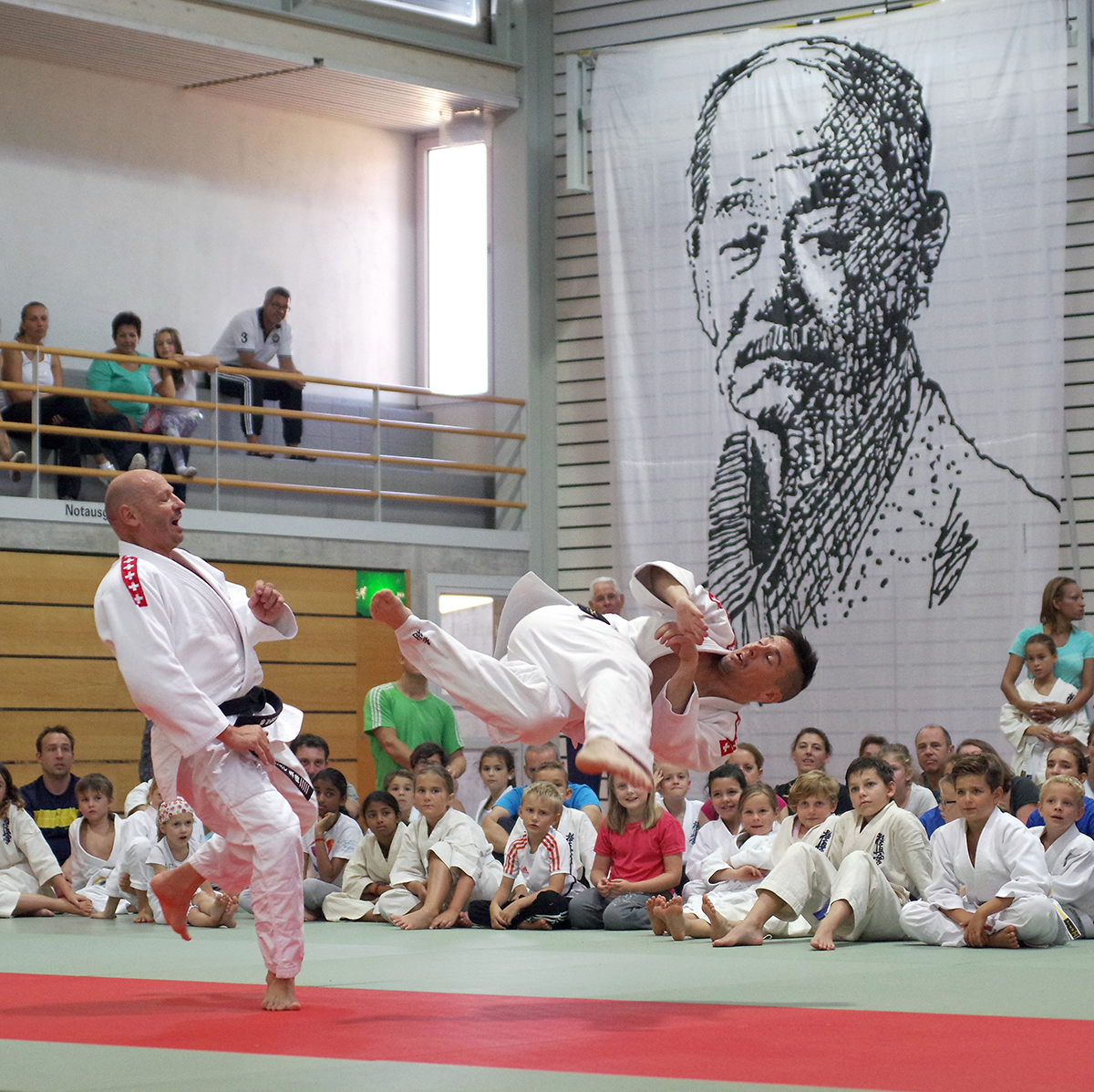 Budo-Tag 2015