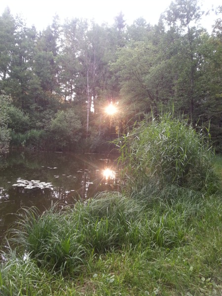 Ferienbilder 2015
