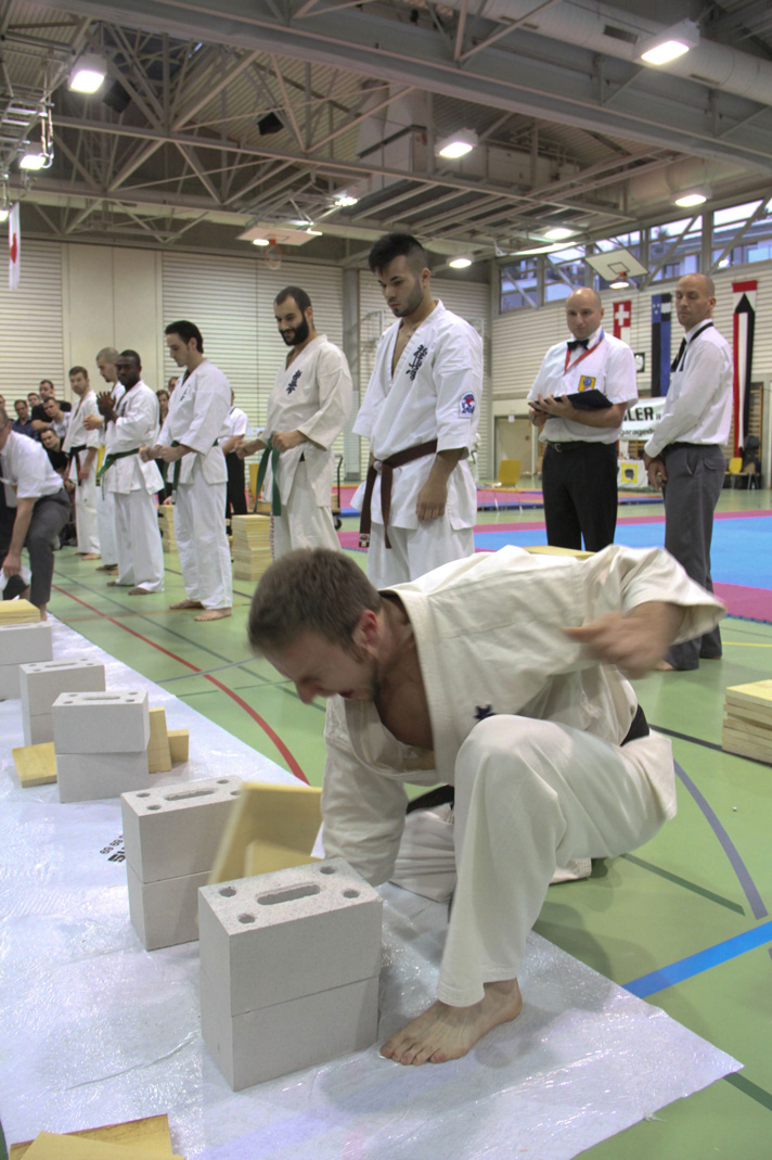 Kyokushinkai Schweizer Meisterschaft Wohlen 2013