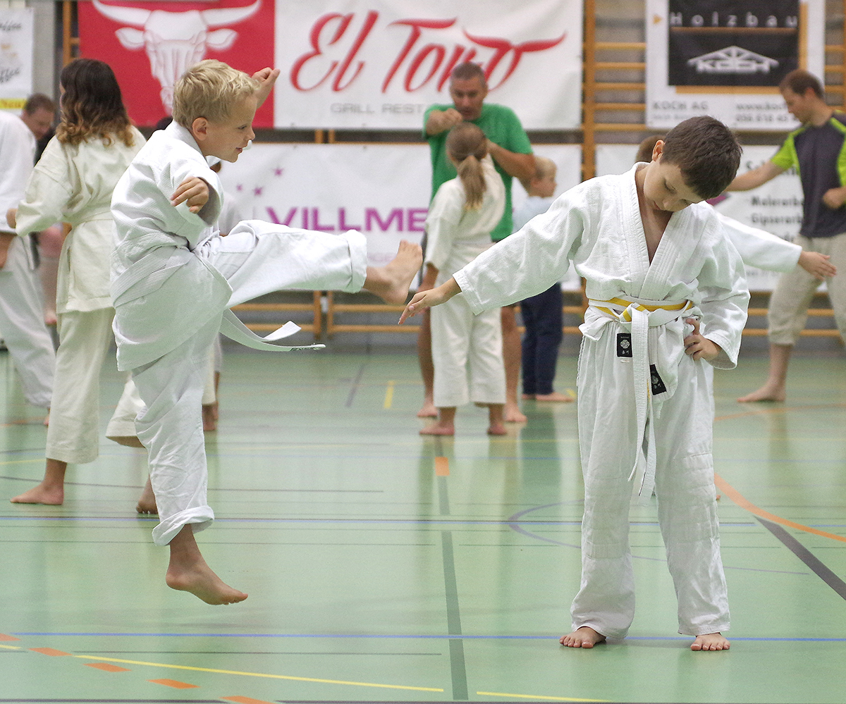 Budo-Tag 2015