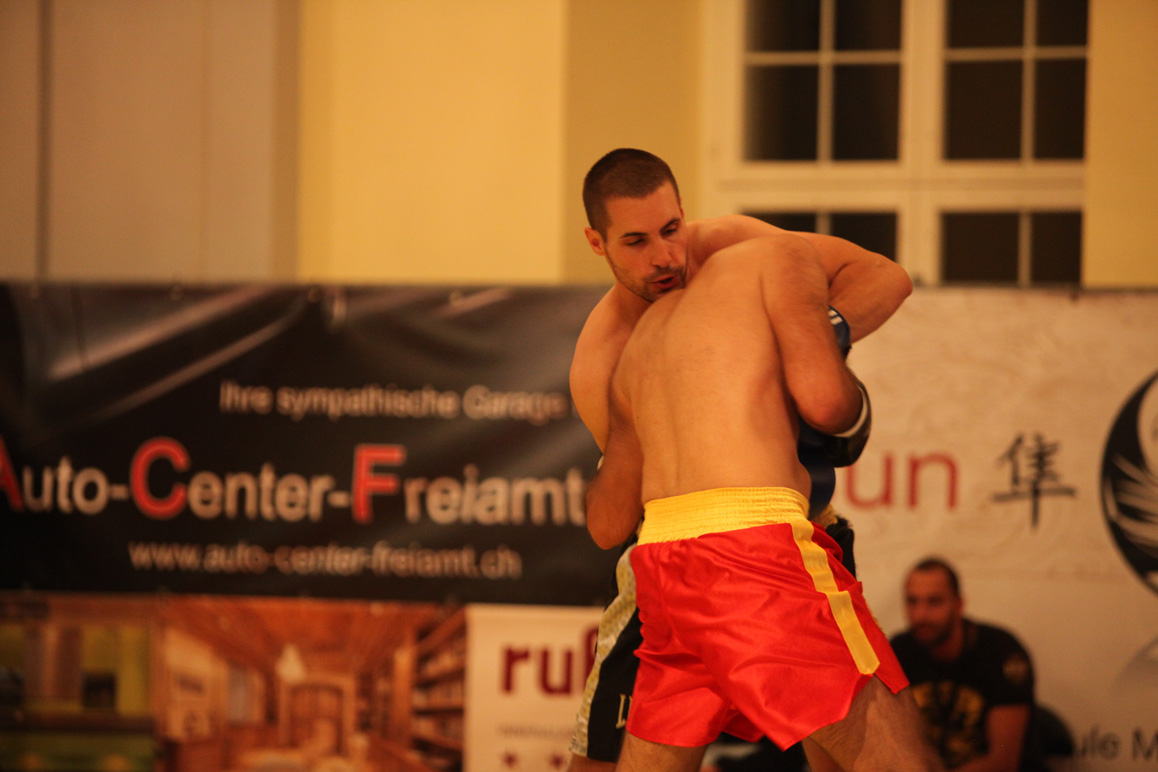 Sanda Fight Night 2016