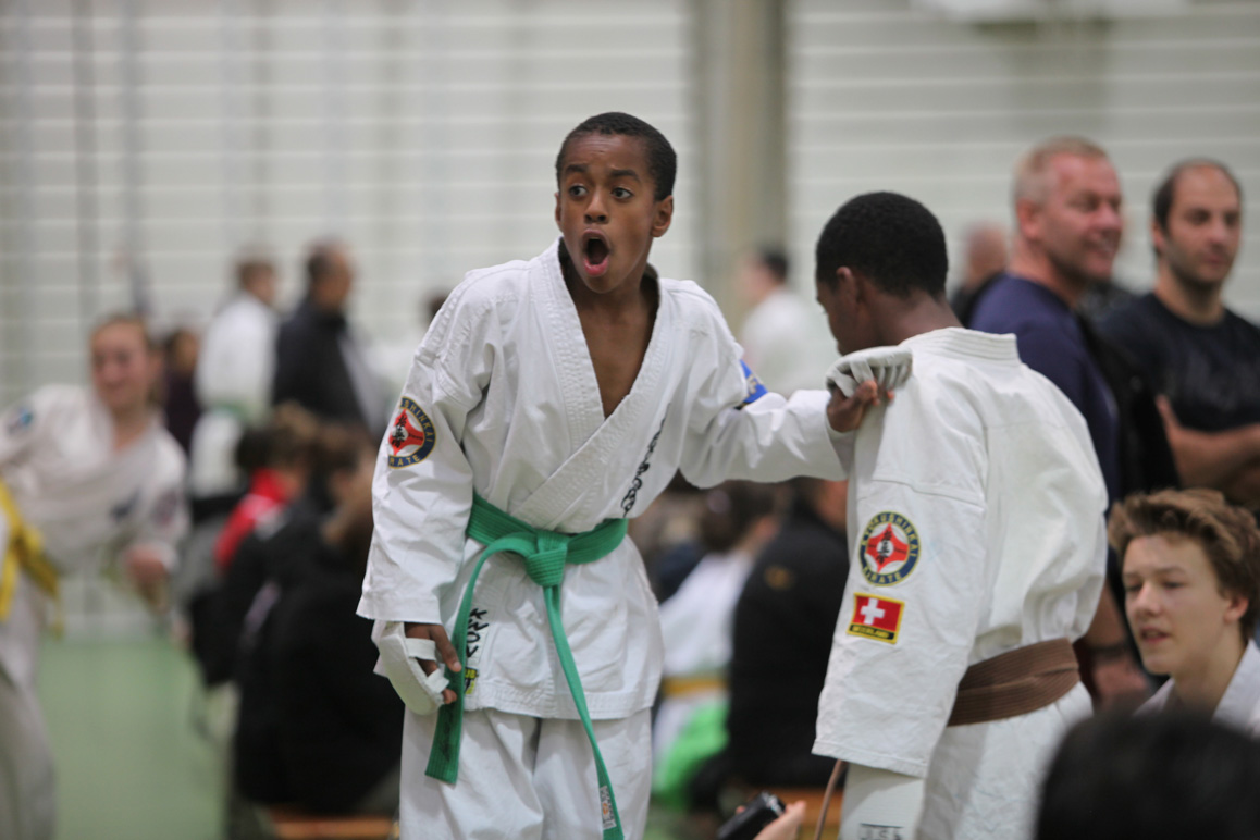 Kyokushinkai Schweizer Meisterschaft Wohlen 2013