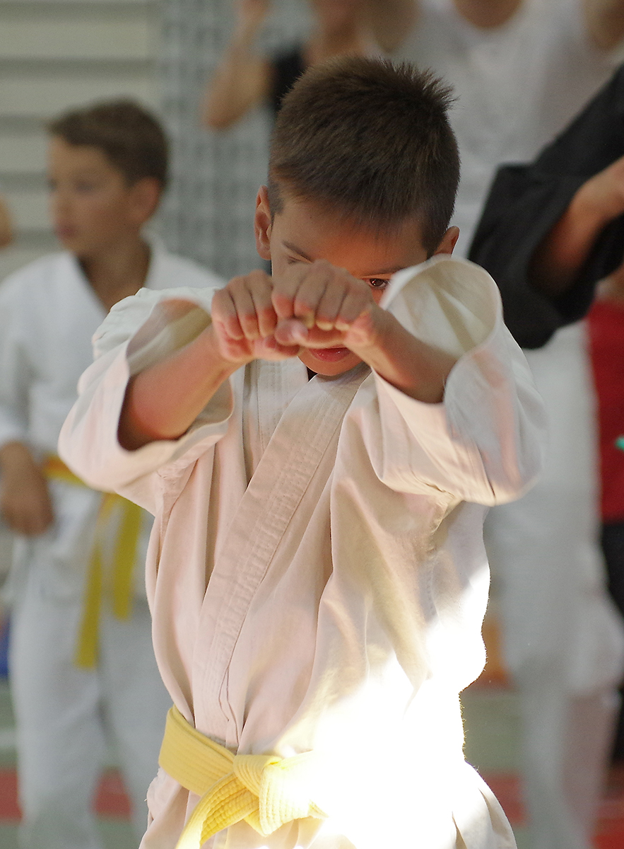 Budo-Tag 2015