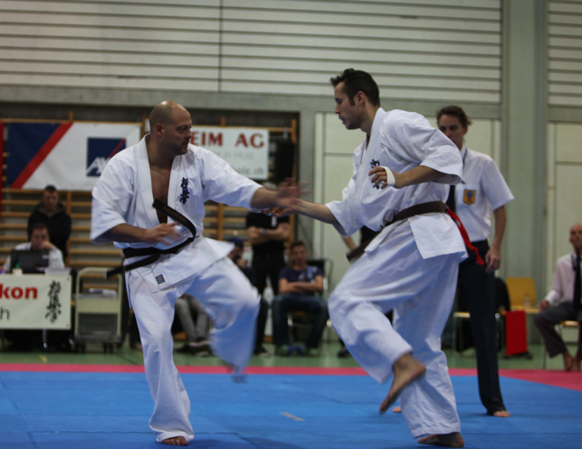 Kyokushinkai Schweizer Meisterschaft Wohlen 2013