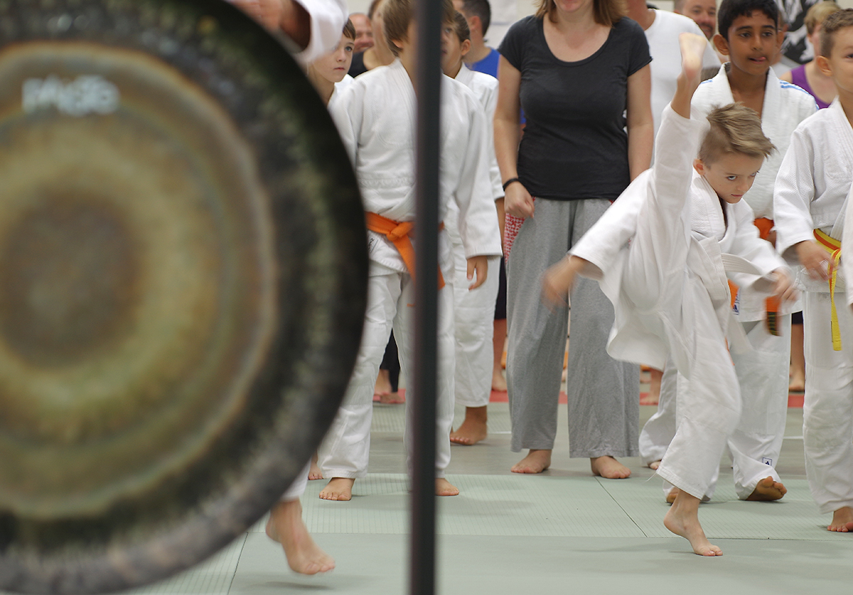 Budo-Tag 2015