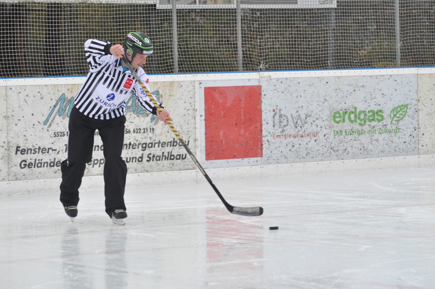Swiss Hockey Day 2013