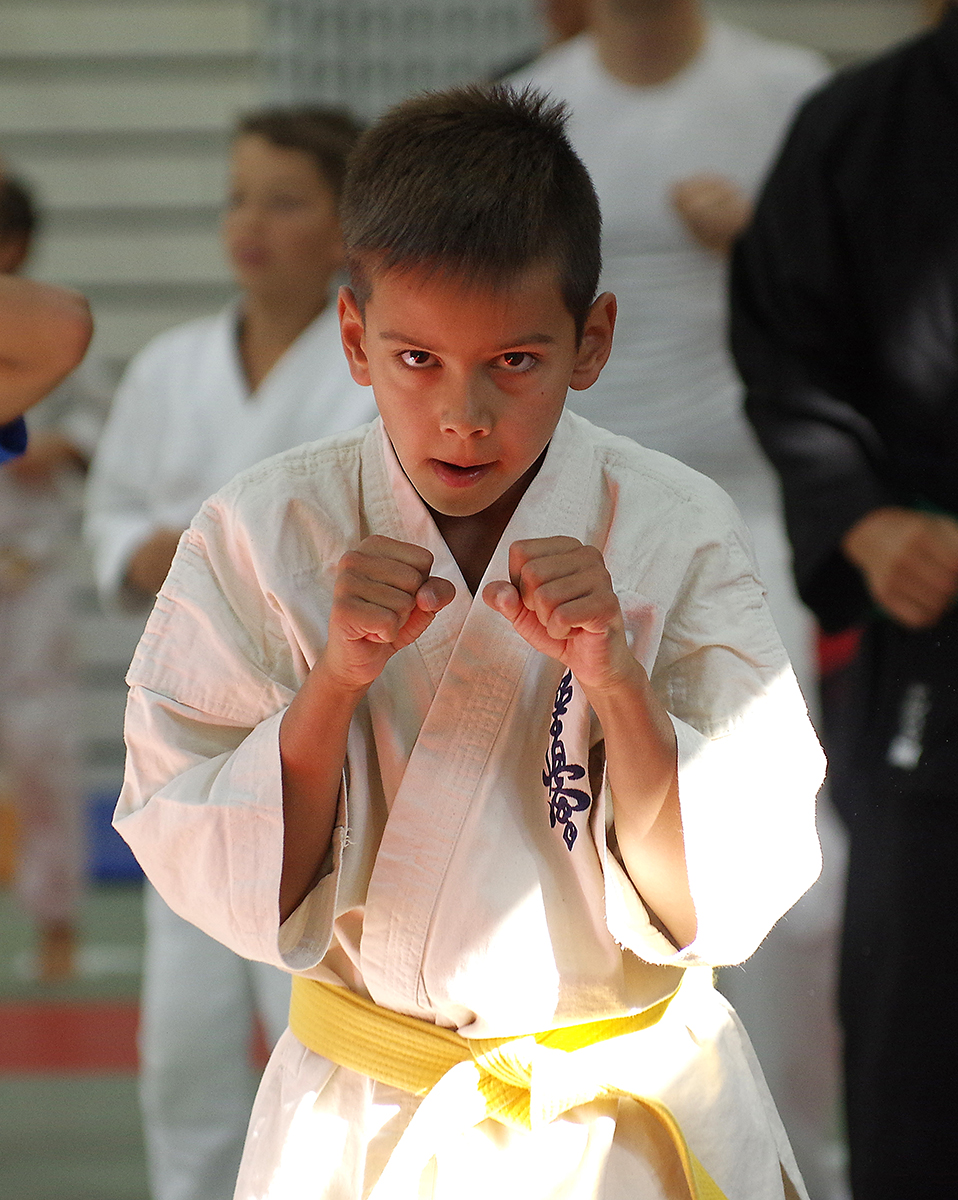 Budo-Tag 2015