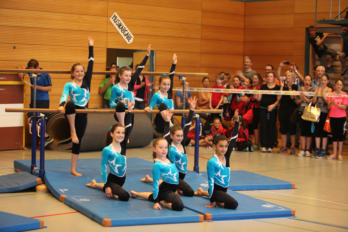 Freiaemter Cup 2014
