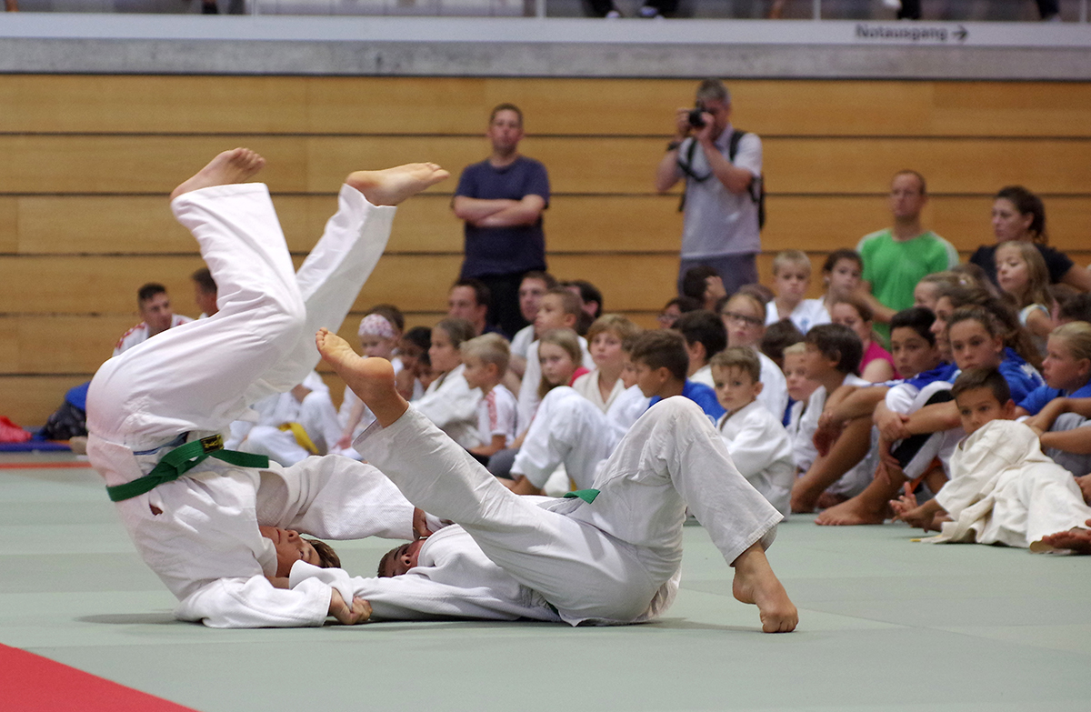 Budo-Tag 2015