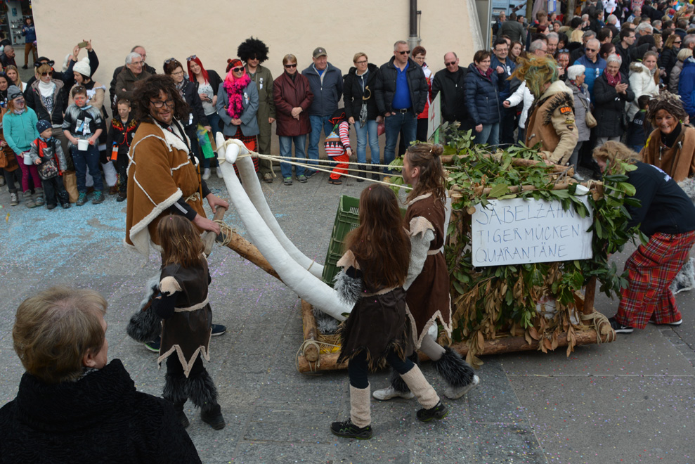Fasnachtsumzug Bremgarten 2017