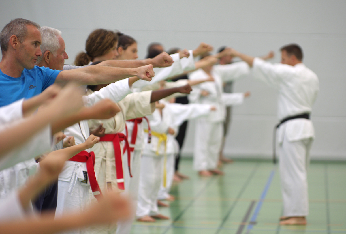 Budo-Tag 2015