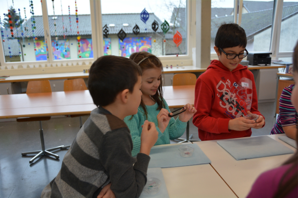 Projektwoche der Schule Villmergen