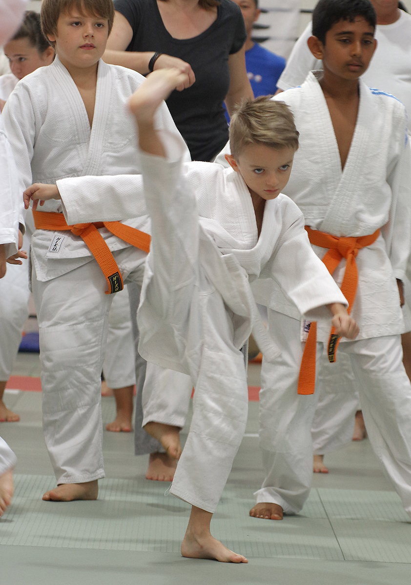 Budo-Tag 2015