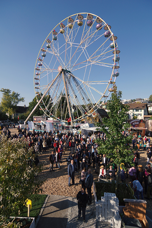 Hagewo 2015