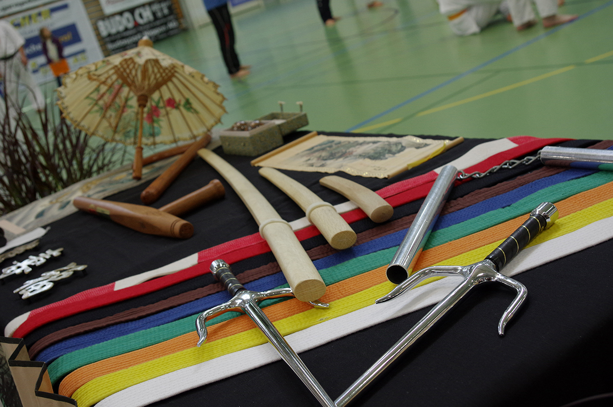 Budo-Tag 2015
