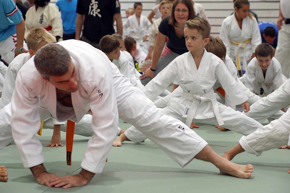 Budo-Tag 2015