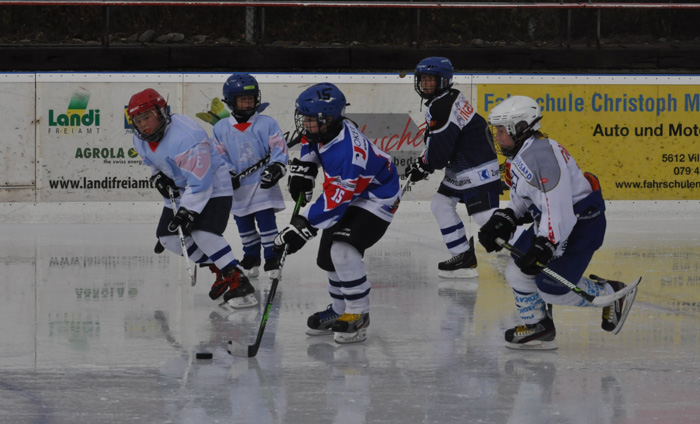 Swiss Hockey Day 2013