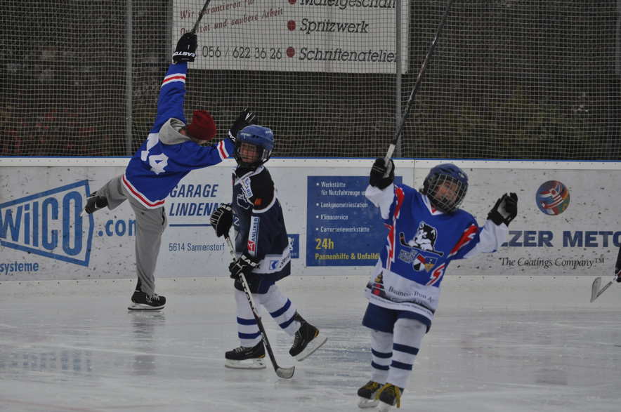 Swiss Hockey Day 2013