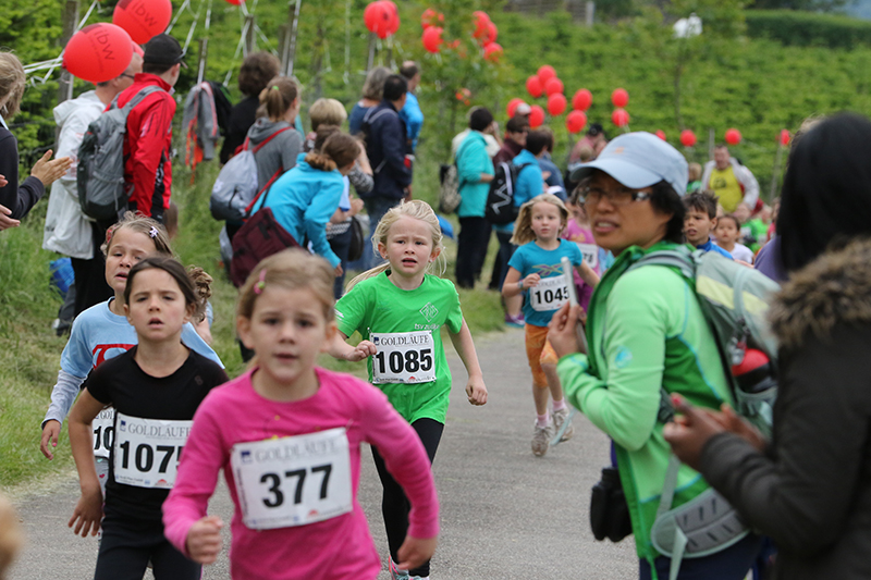 Pfingstlauf 2015