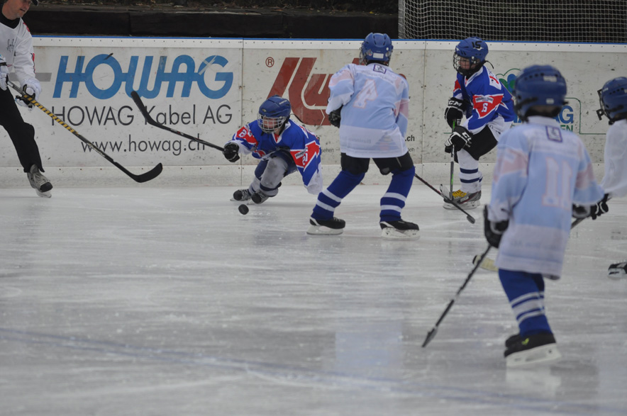 Swiss Hockey Day 2013
