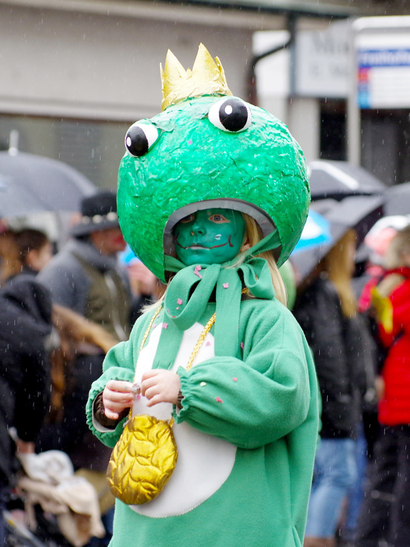 Fasnachtsumzug Wohlen 2016