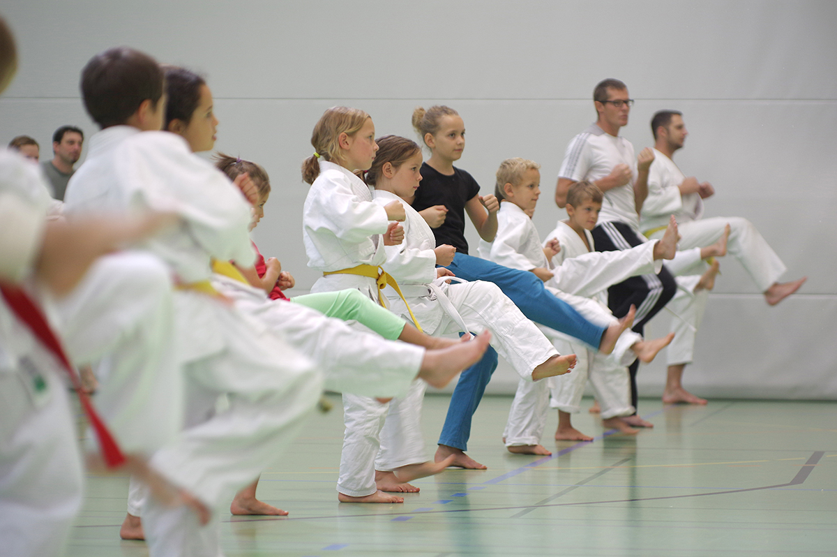 Budo-Tag 2015
