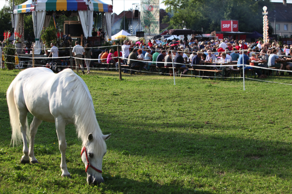 «Donnschtig-Jass» in Wohlen – Teil 1