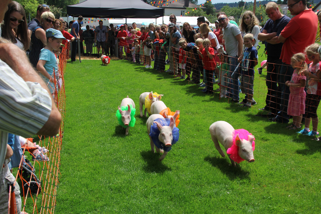 Jugendfest Boswil