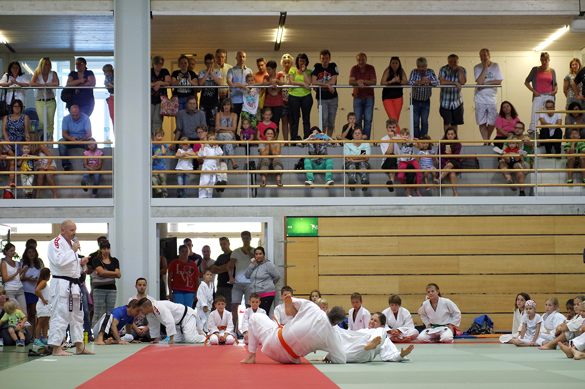 Budo-Tag 2015