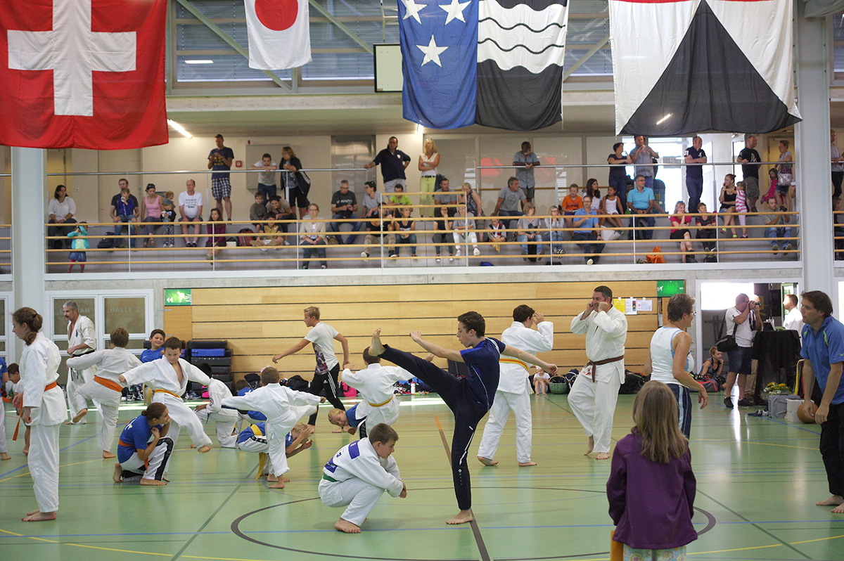 Budo-Tag 2015